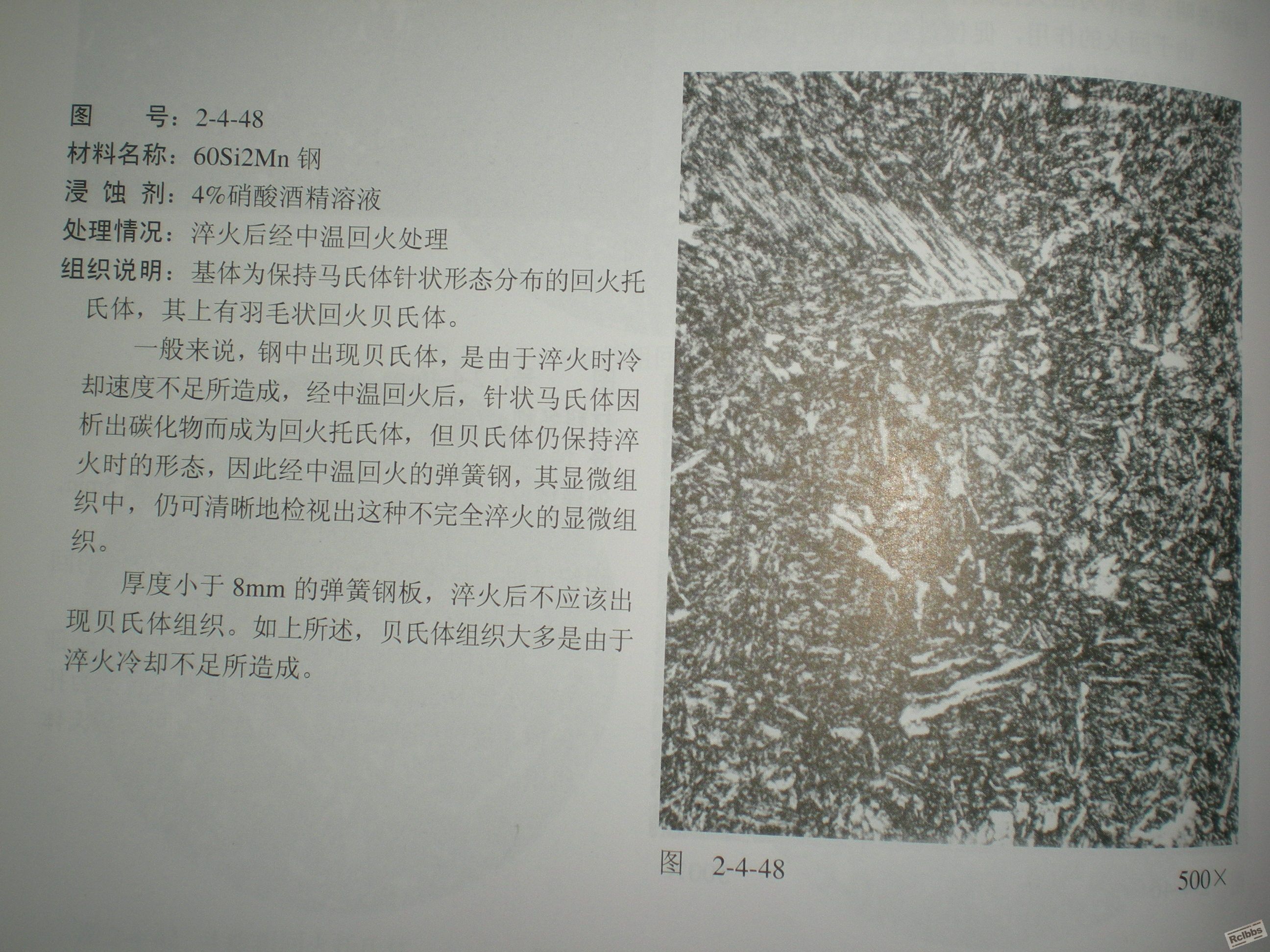 DSCN0727.JPG