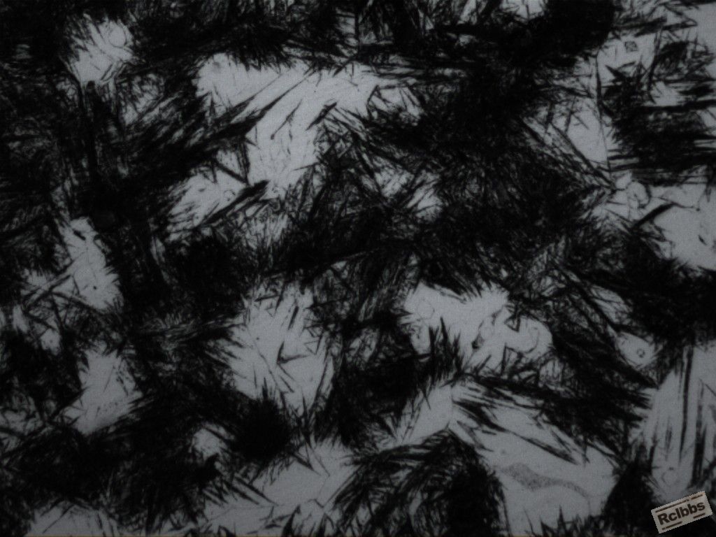 500X