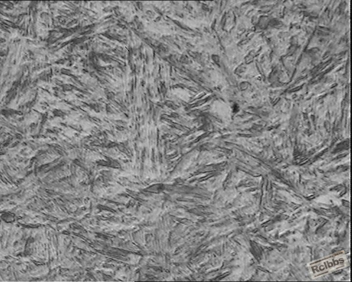 心部组织X400