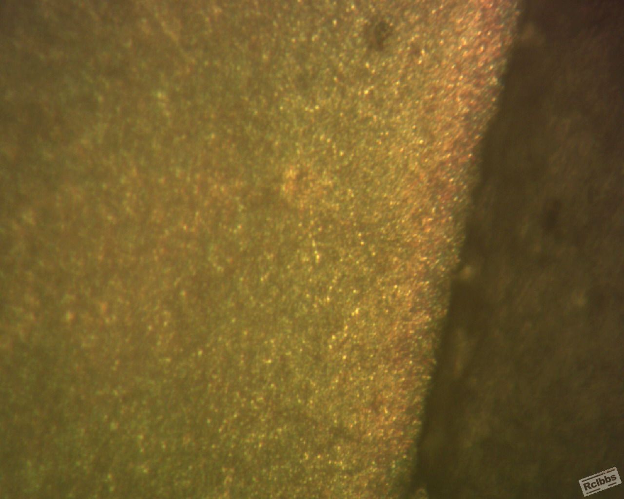 2011-4-28-15-11-43-109.JPG