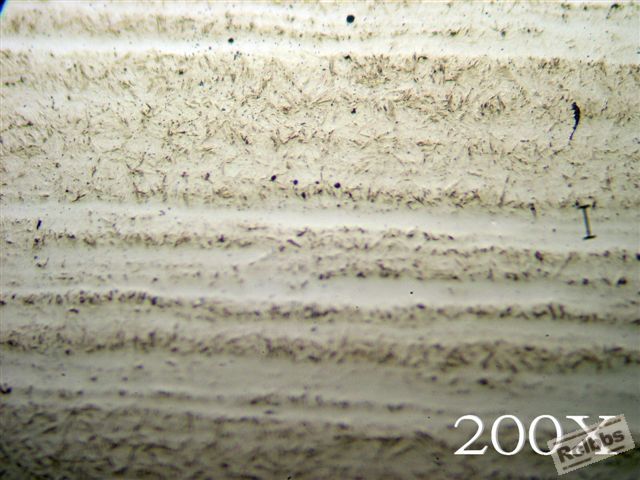 P1017753.jpg