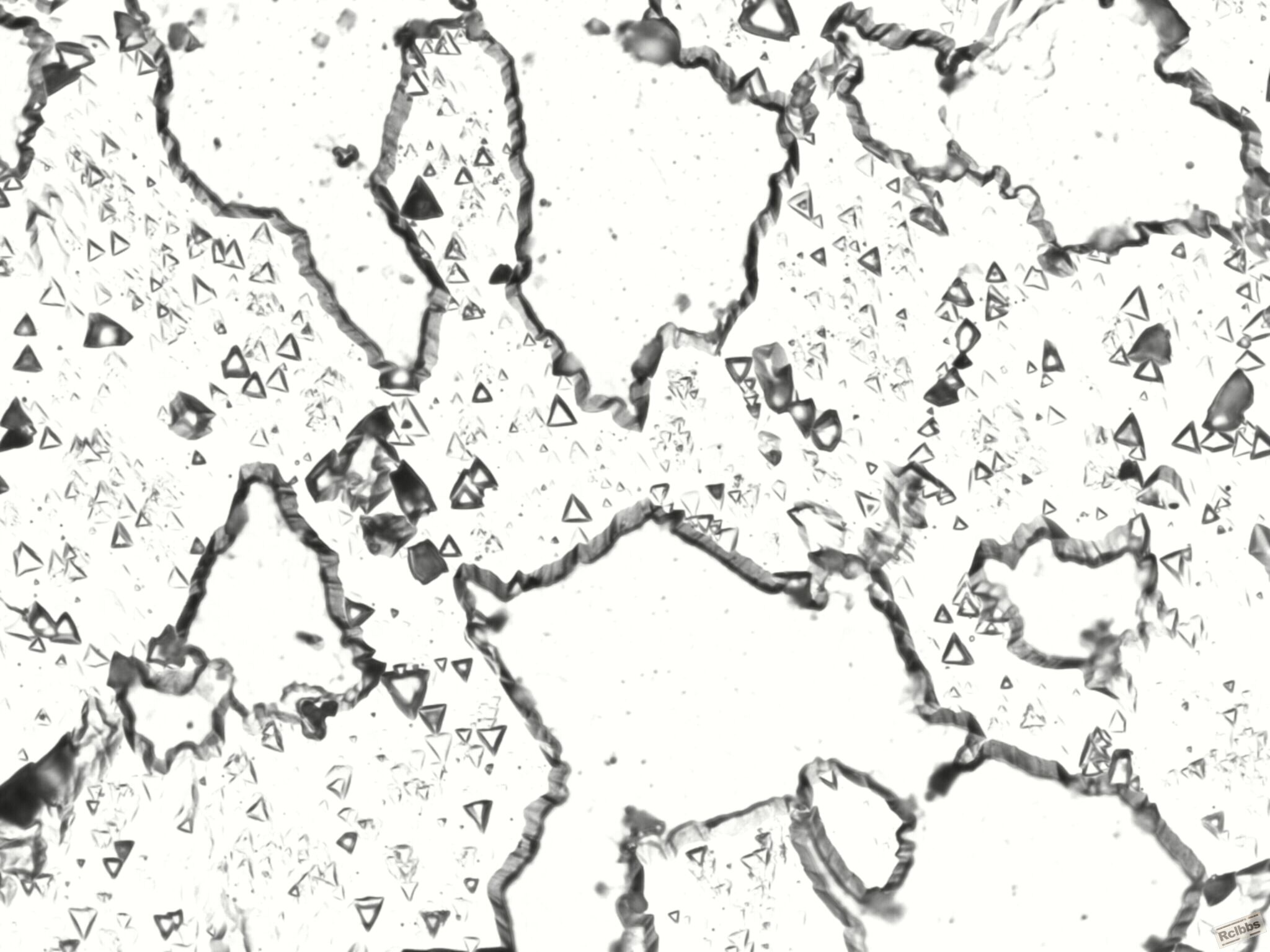 500x-1 加热470 保温1小时  混合侵蚀液  48度 1分钟.jpg