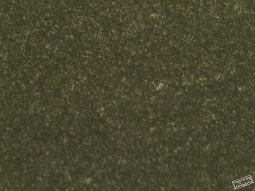 调质后1  100倍.JPG