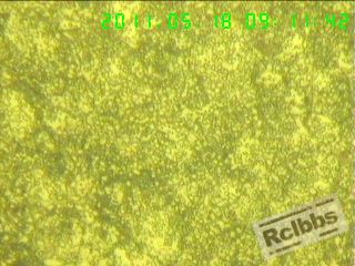 600X-2.jpg