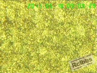 400X-1.jpg