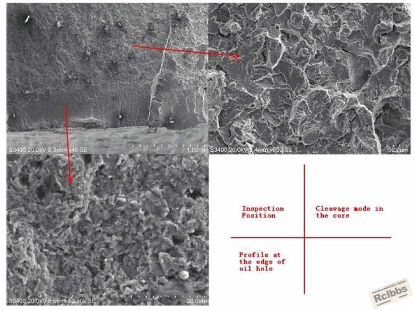 SEM image.jpg