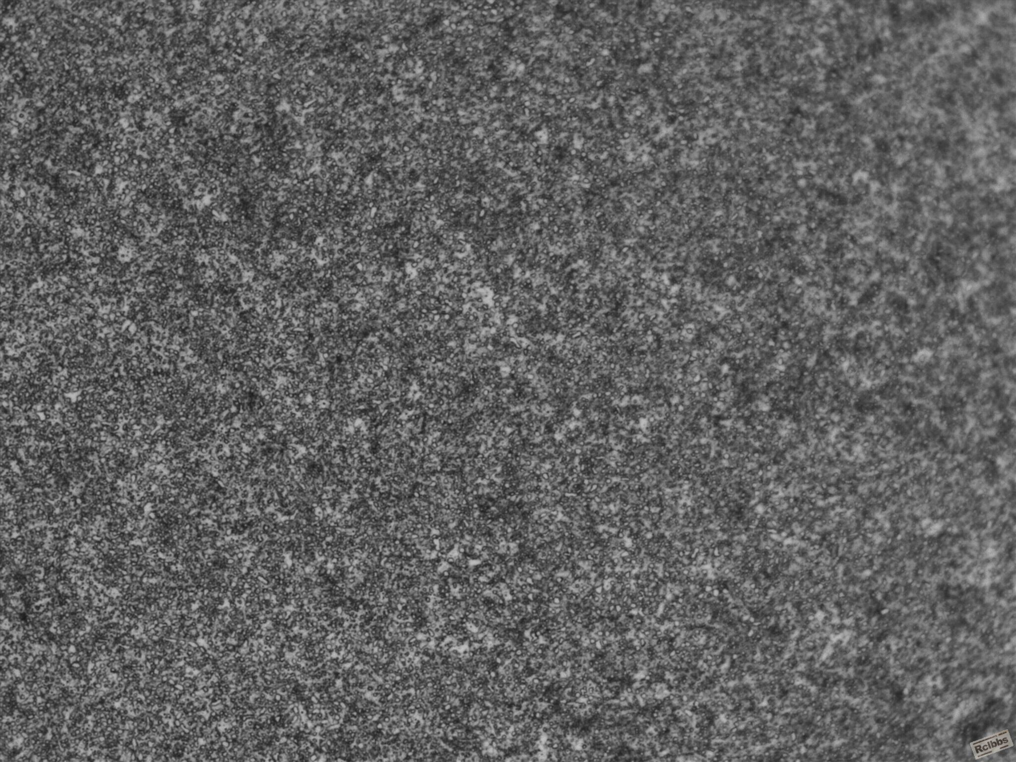 500x-3.jpg