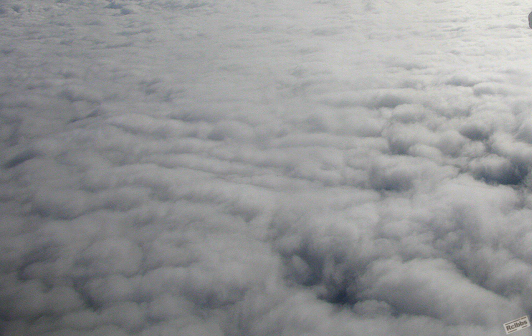 IMG_6761.jpg
