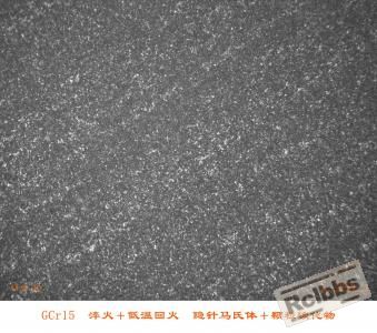 GCr15钢淬回火组织