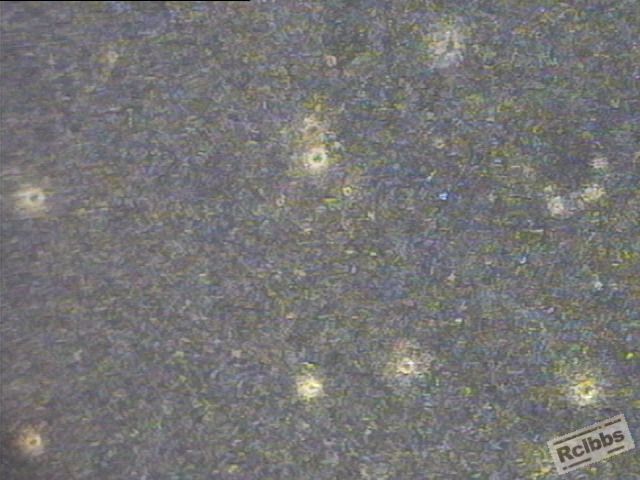 45#回火100倍.JPG