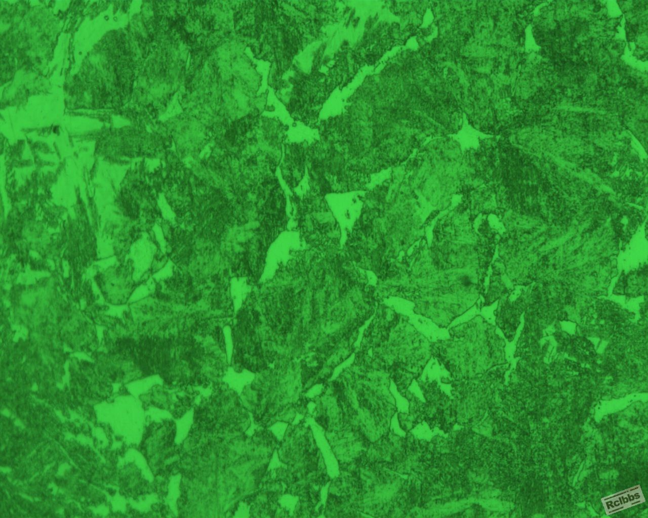 1-2内1 500倍.jpg