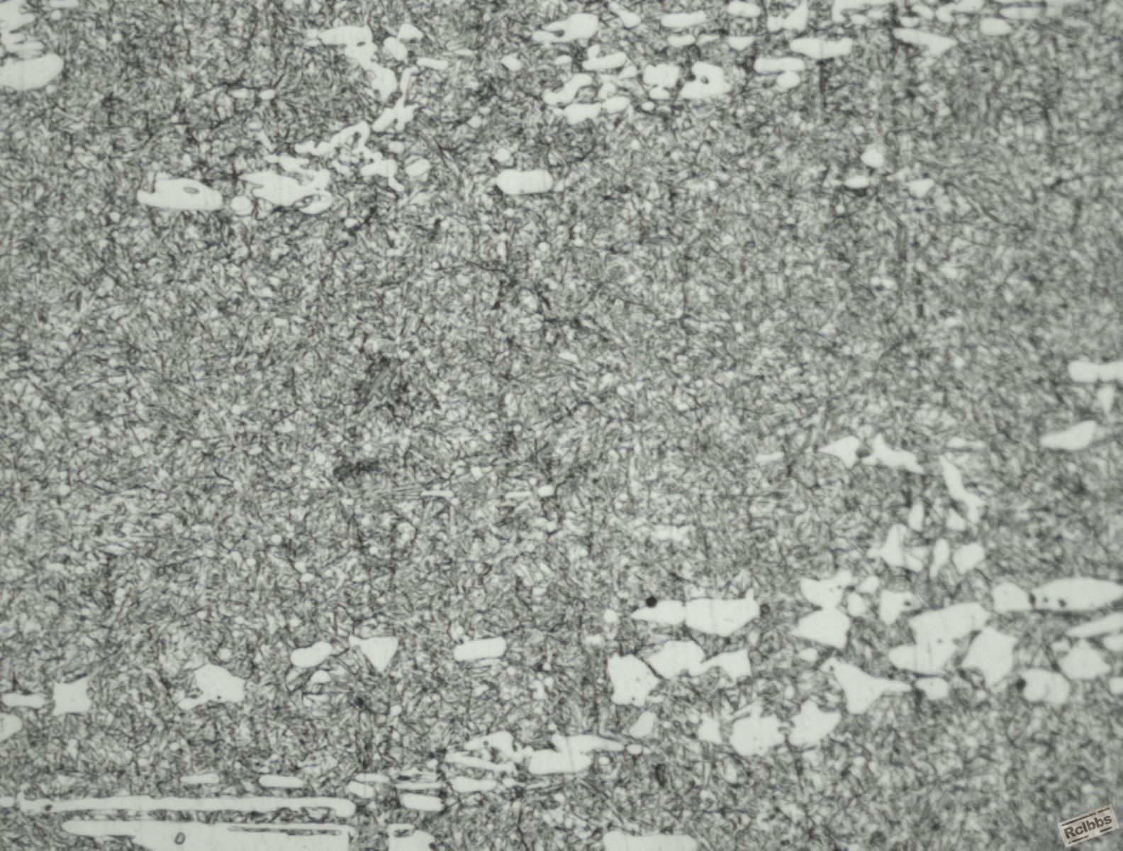 500X-1.jpg