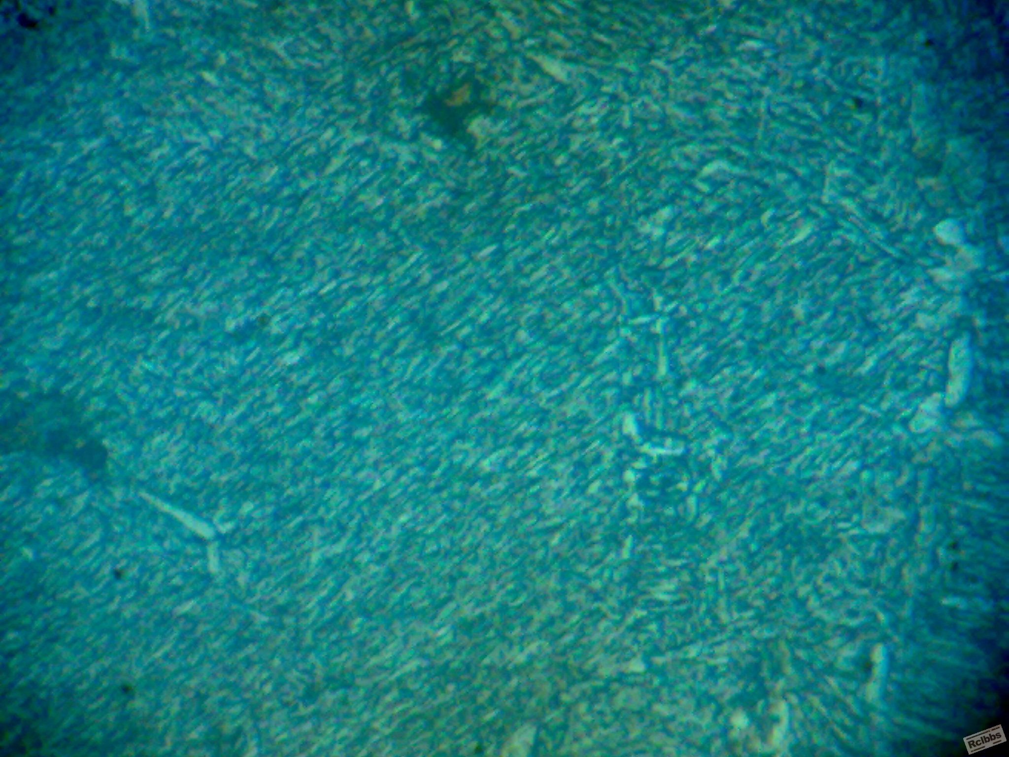 030620111293.jpg