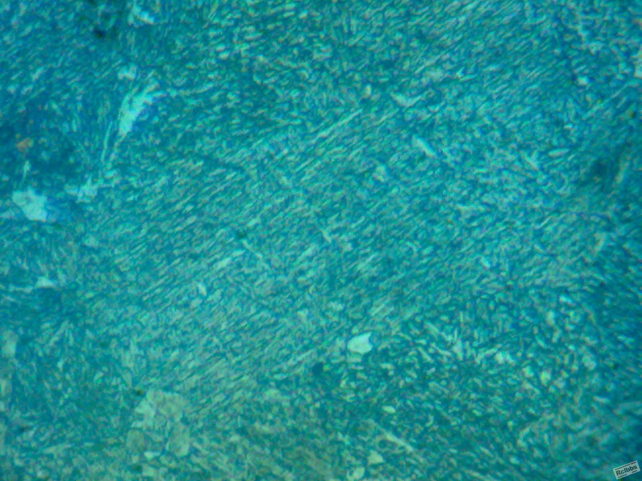 030620111294.jpg