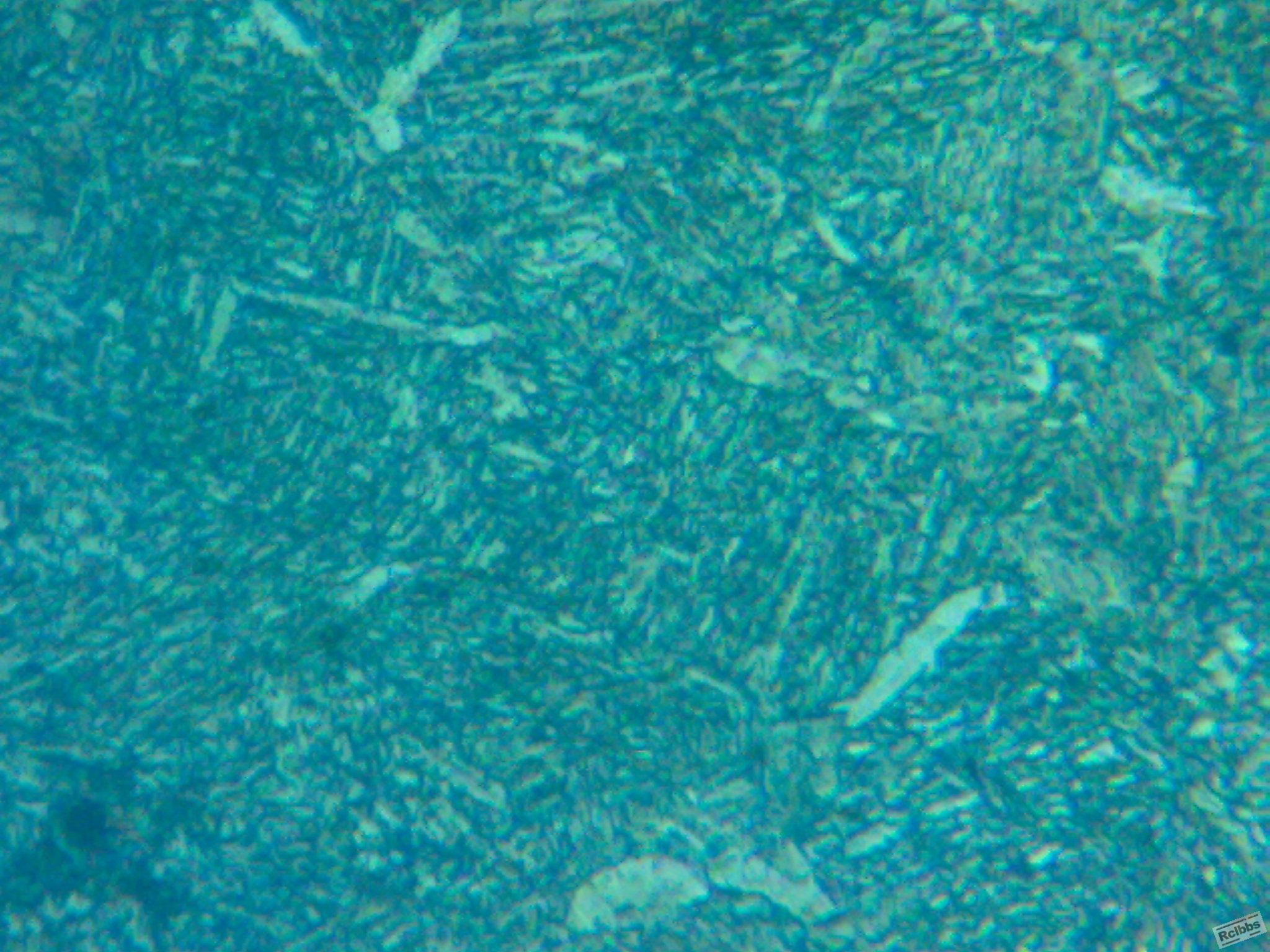 030620111290.jpg