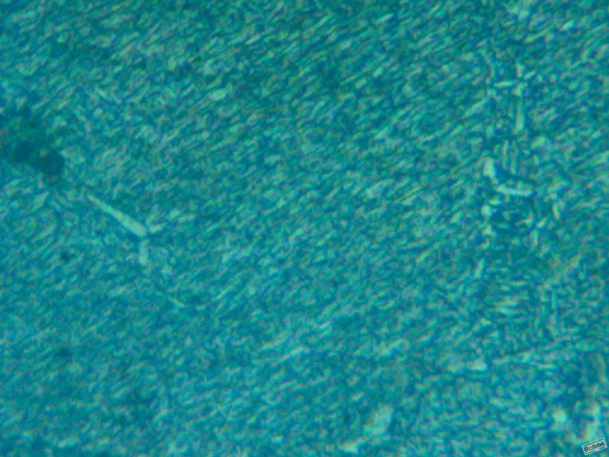 030620111292.jpg