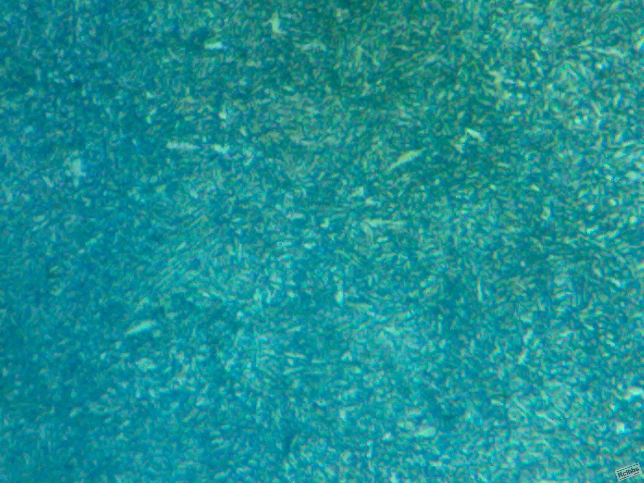 030620111295.jpg