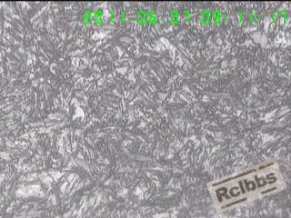 珈多利表面4级400倍.jpg