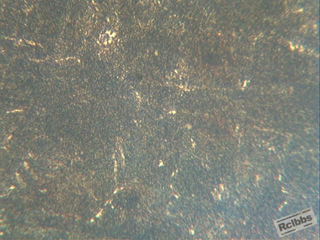 500X最心部组织