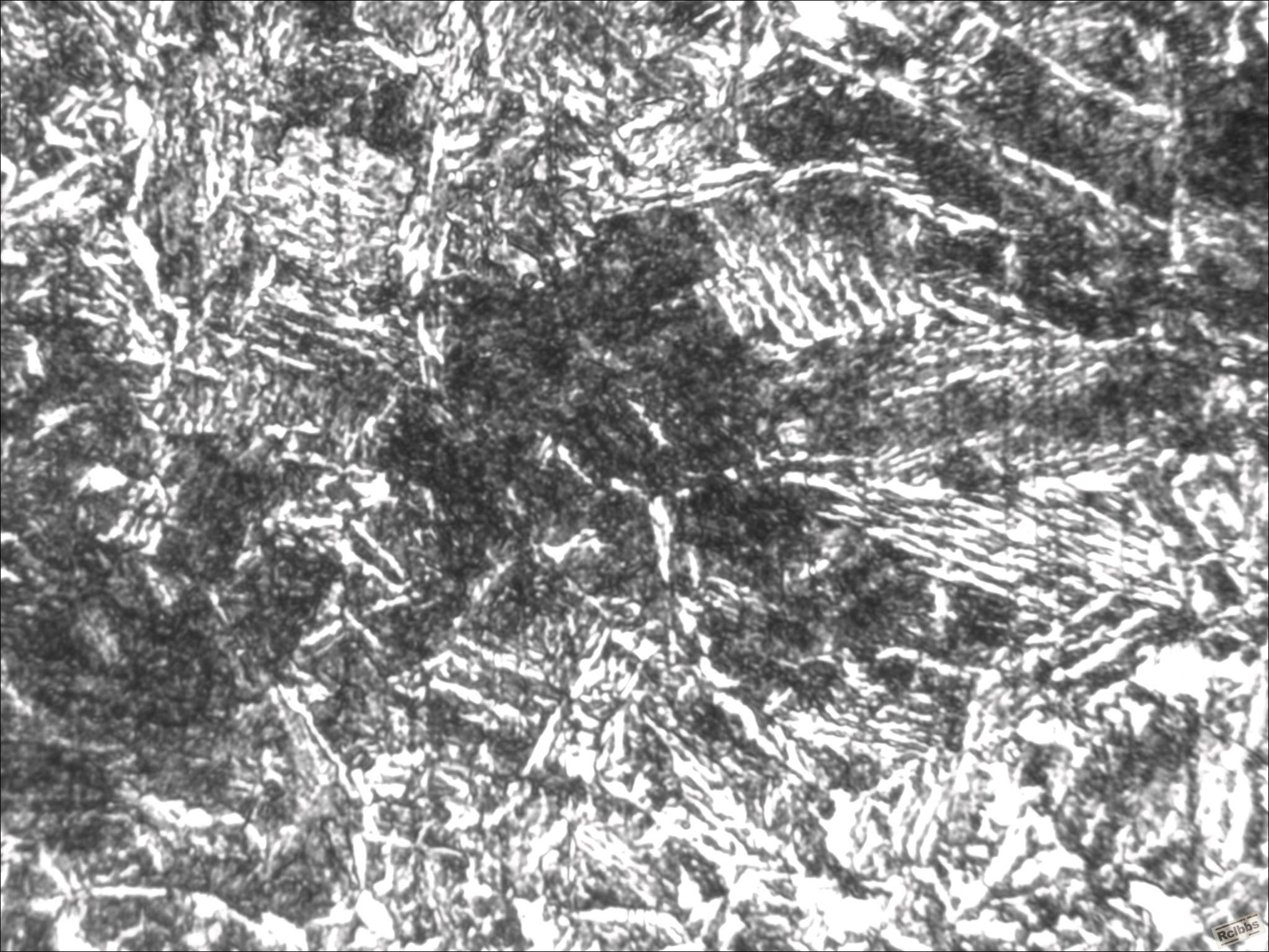 TS_05_31_20_52_41.jpg