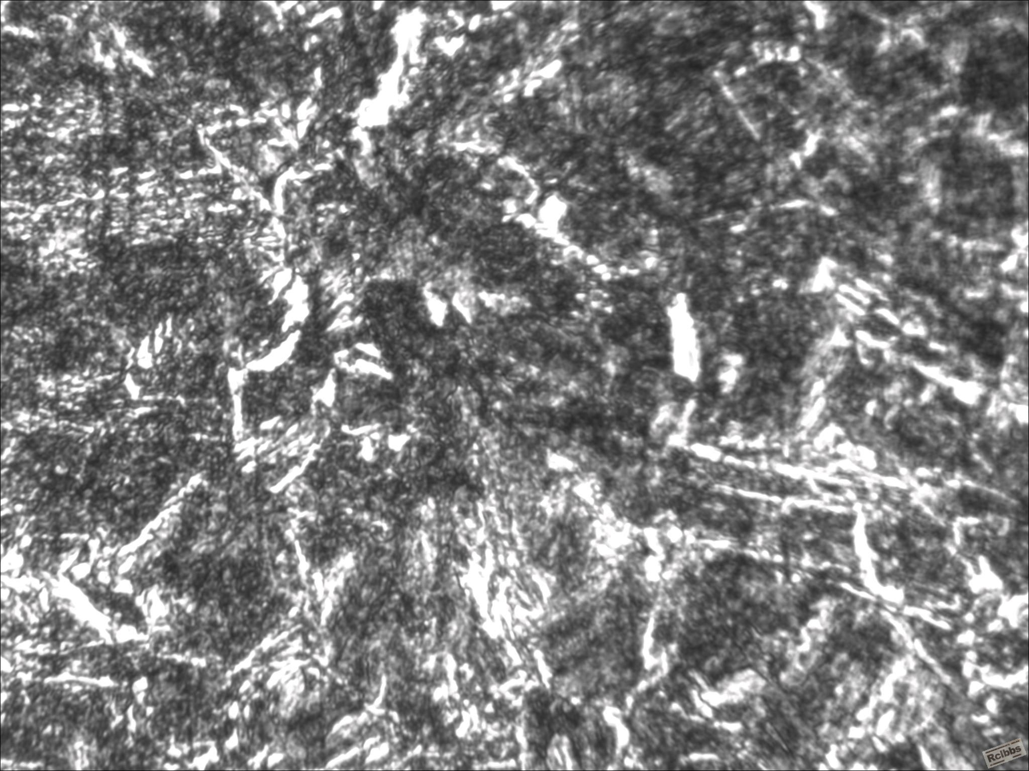 TS_05_31_20_54_13.jpg