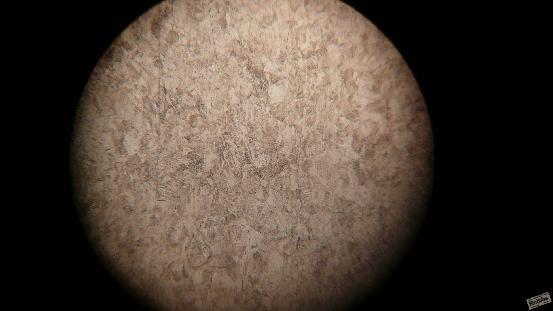 P1020316.JPG