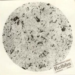 clip_image001.jpg