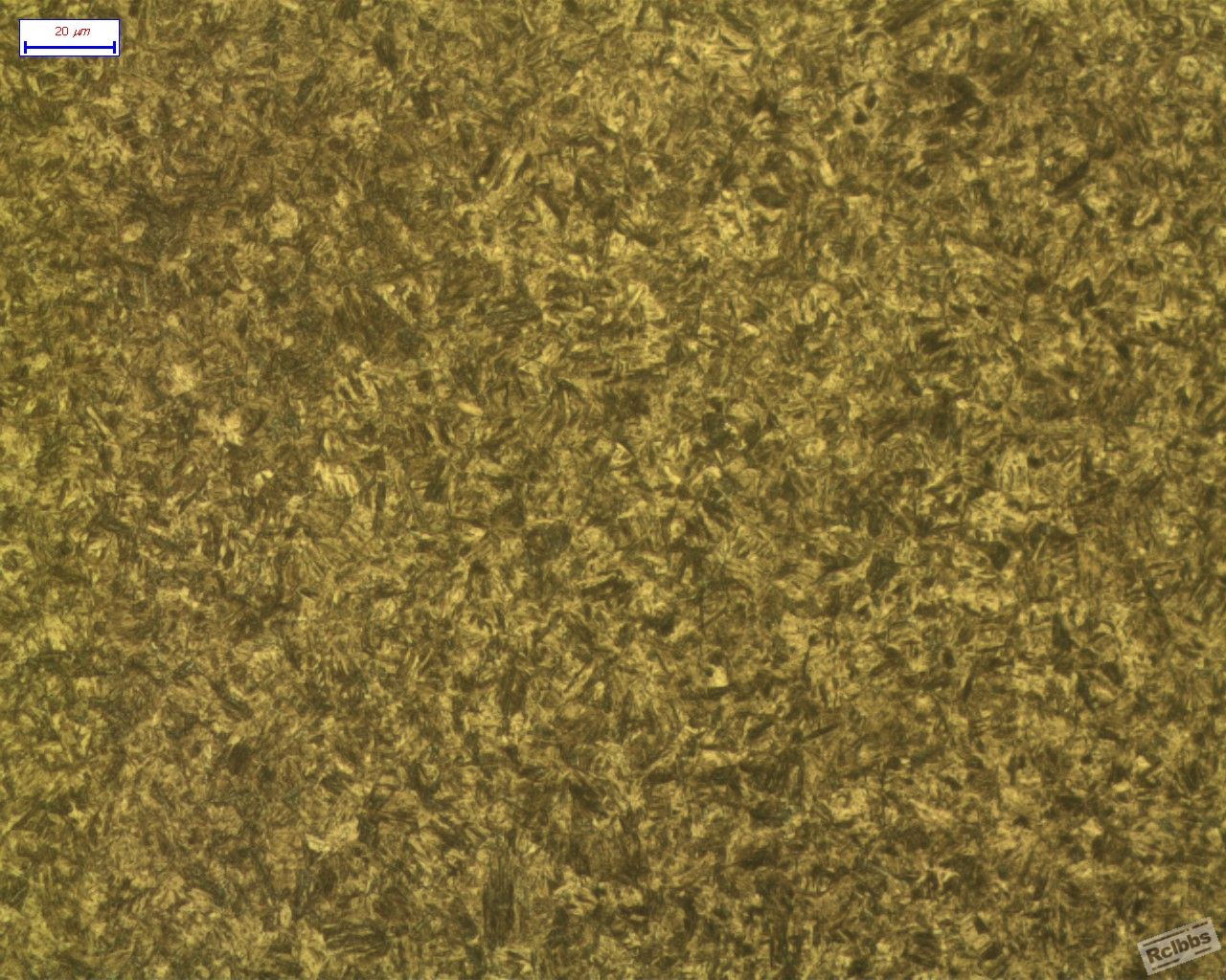 CF1-1_RVI_500X_XINBU_2.jpg