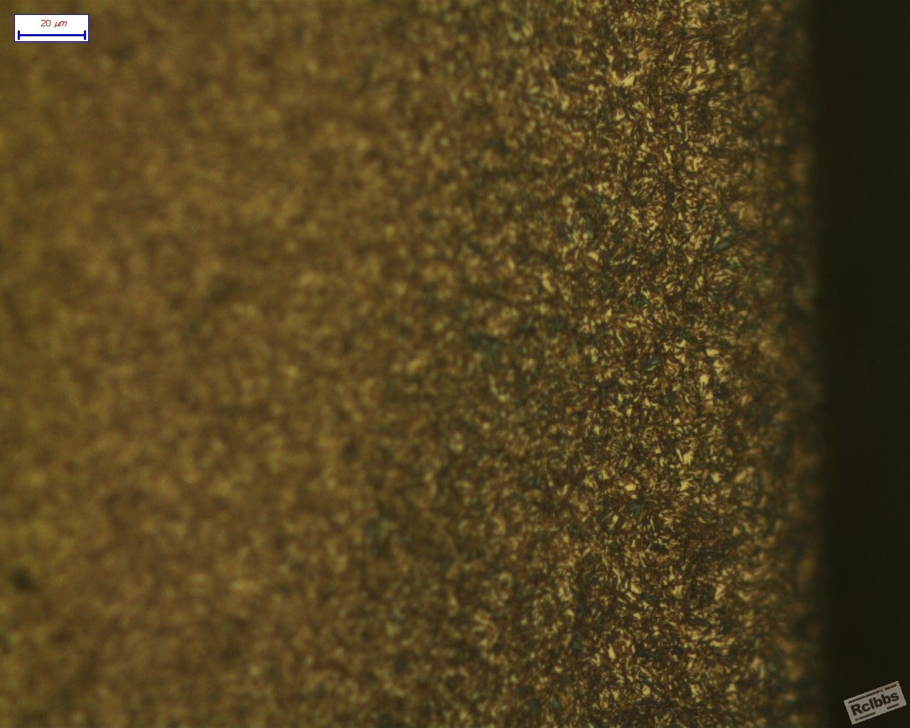 CF1-1_RVI_500X_1.jpg