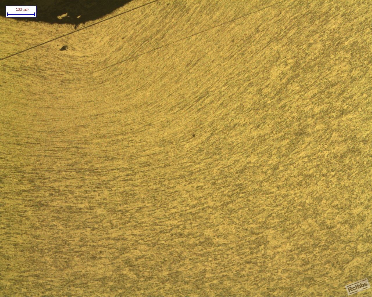 100X_1.jpg