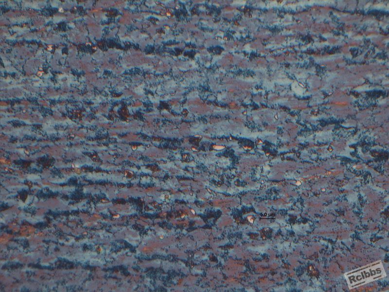 4Ma#1000.jpg