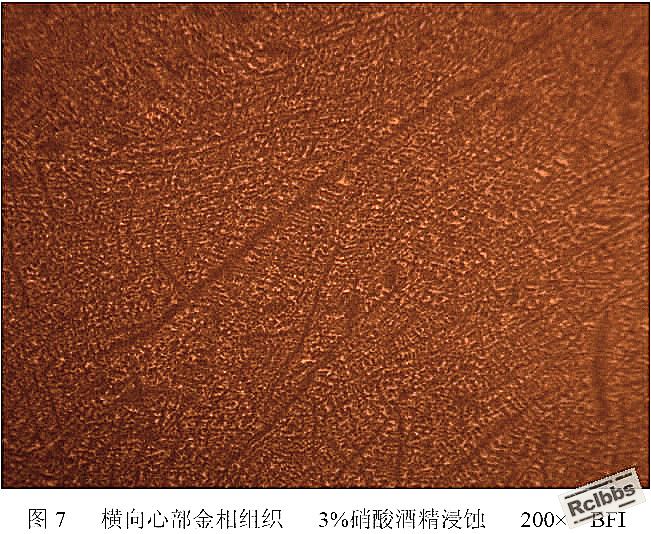200倍 BFI金相_副本.jpg