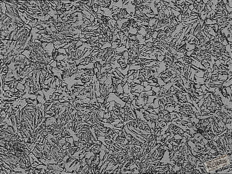4320心部组织100X