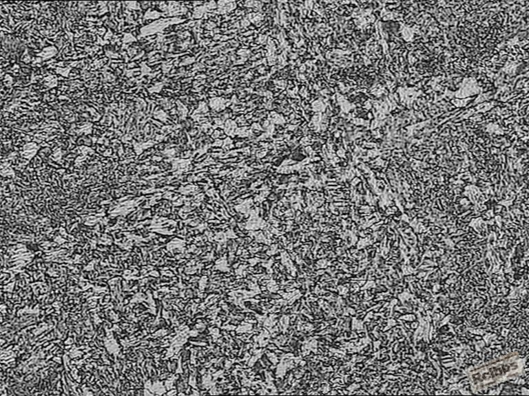 4320心部组织100X