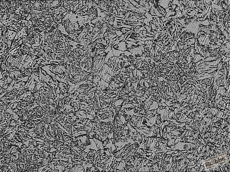 4320表面组织100X
