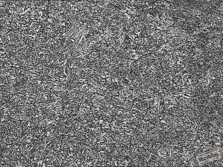 4320心部组织100X