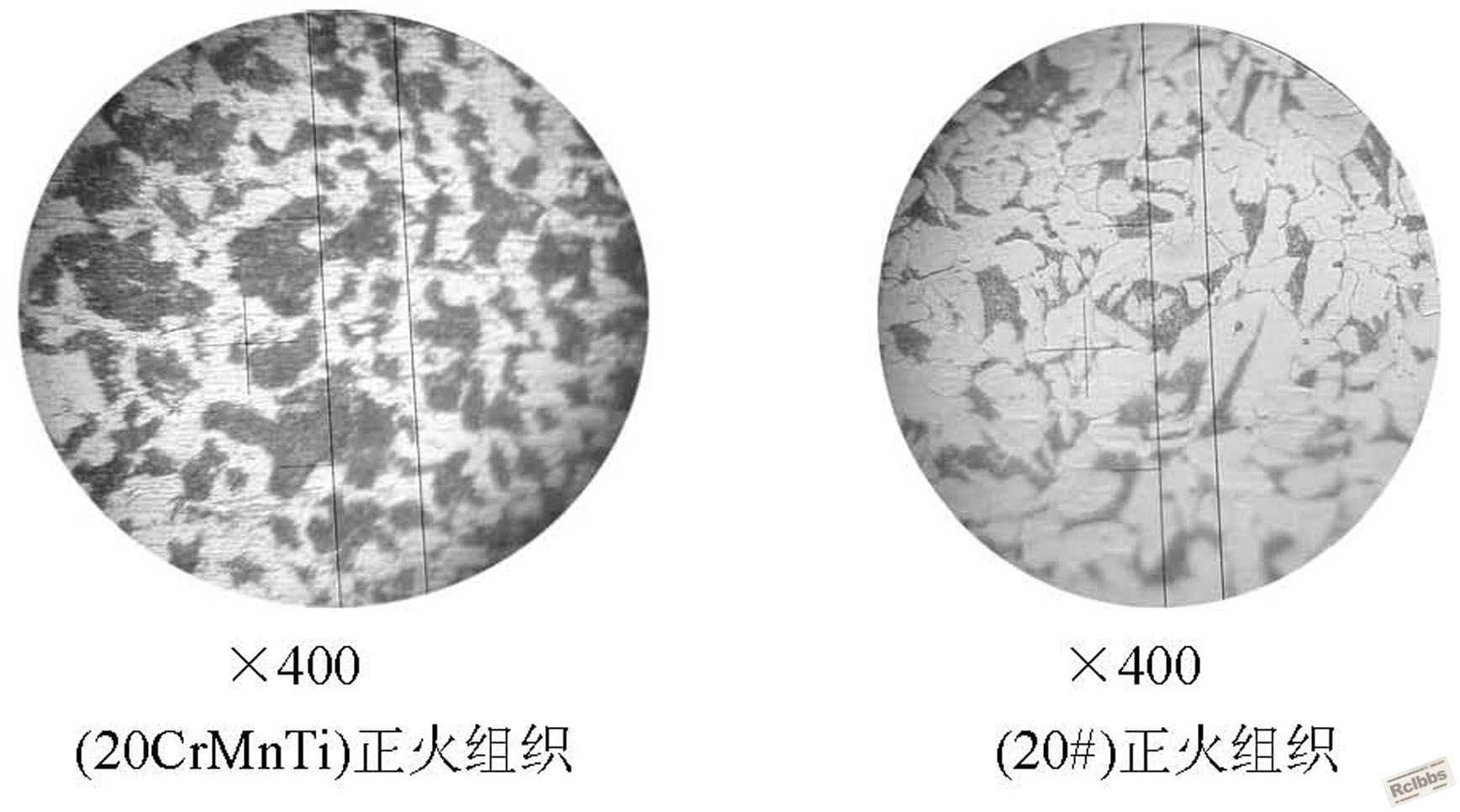 2011[1].6.24对比组织1.jpg