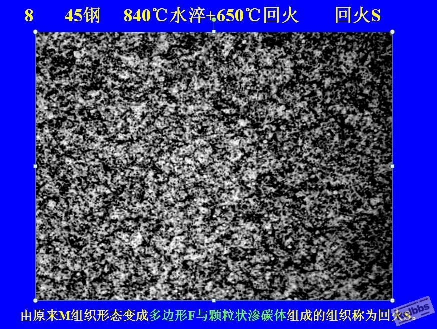 截图00.jpg