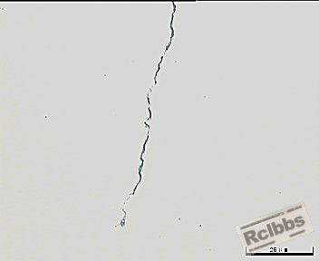 裂纹尾 100x.jpg