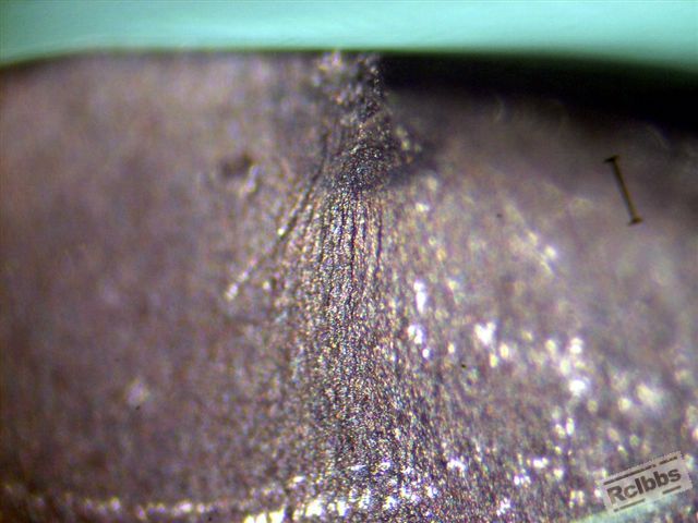 P6277868 B.jpg
