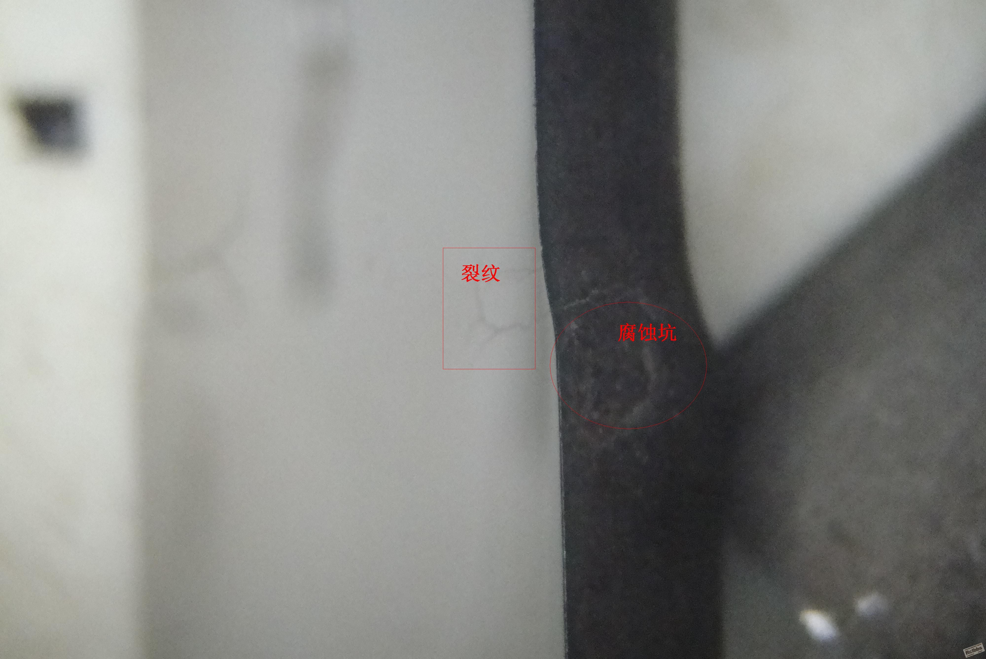 DSC04385.JPG
