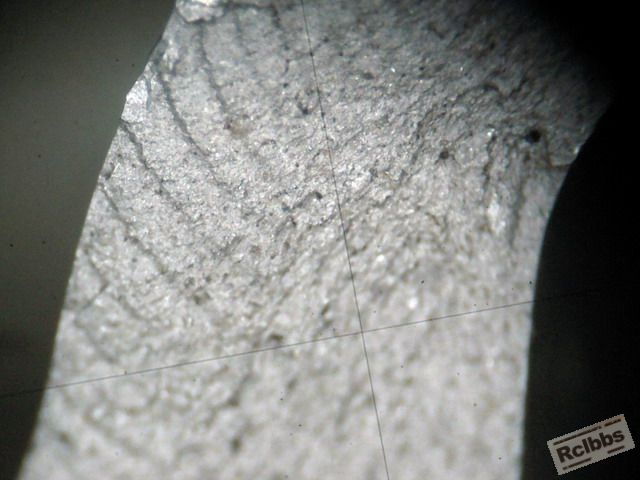 C333 064.jpg