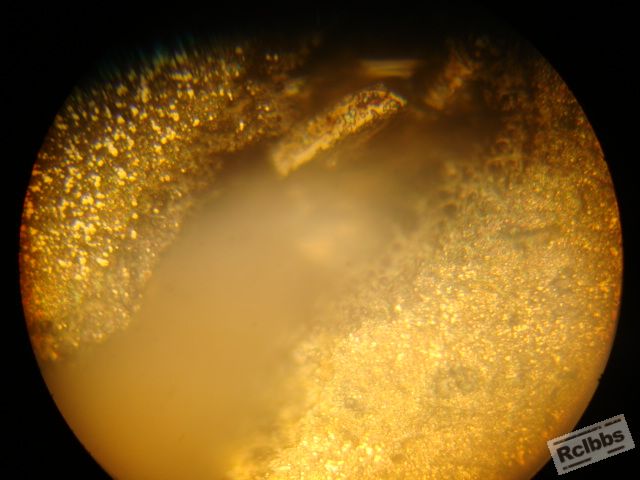 400倍2.JPG