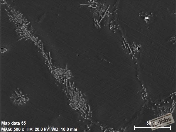 SE_SE.jpg